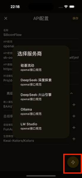 API 密钥输入